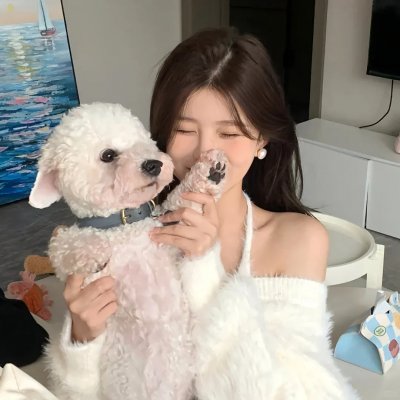 我们村的指导员 封面